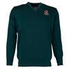 Jersey (Sizes 77 & 117) - green/grey tek